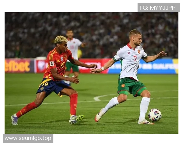 足球世界杯决赛战术部署及关键球员